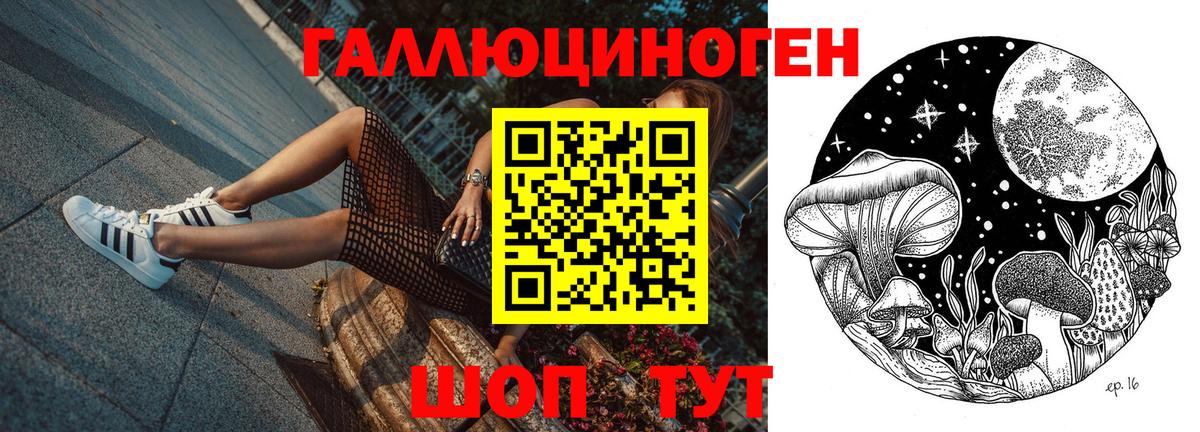 Галлюциногенные грибы мицелий  Вход с VPN  Шадринск  Галлюциногенные грибы мицелий 
