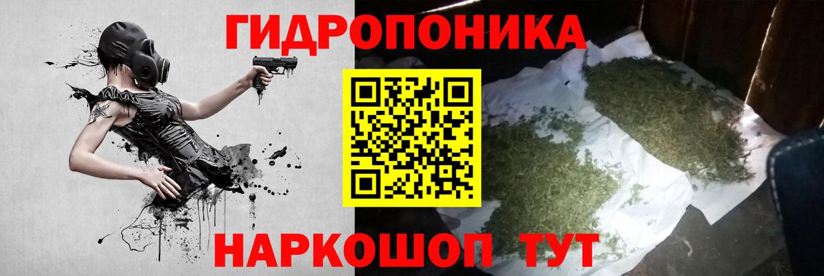 Канабис план Шадринск